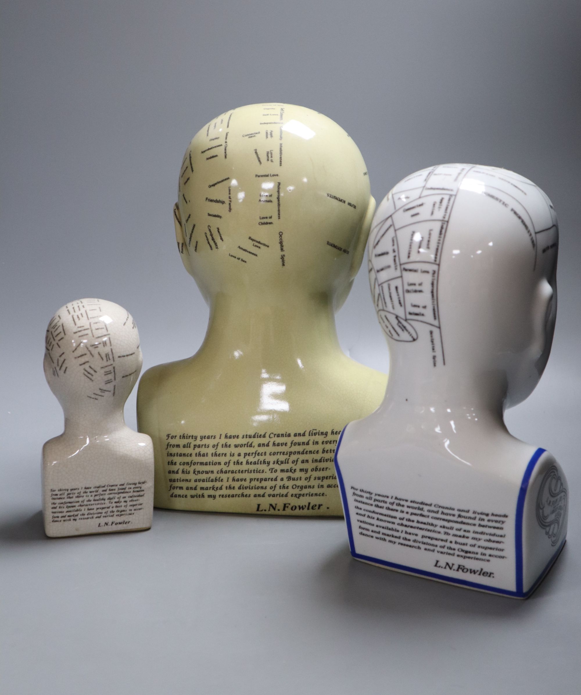 Three reproduction phrenology ceramic heads, by L.M. Fowler, tallest 29cm